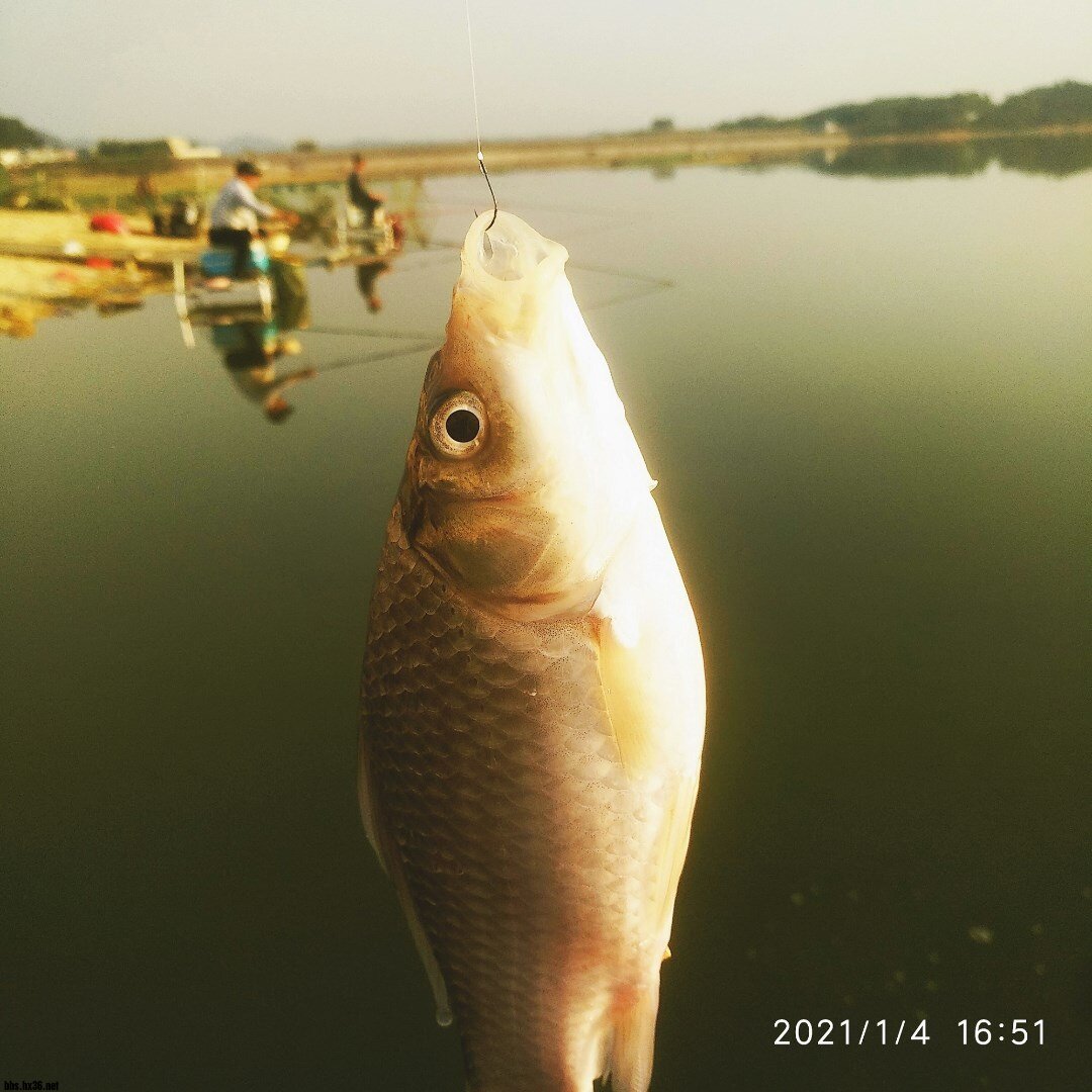 寰?俊鍥剧墖_20210104213233.jpg