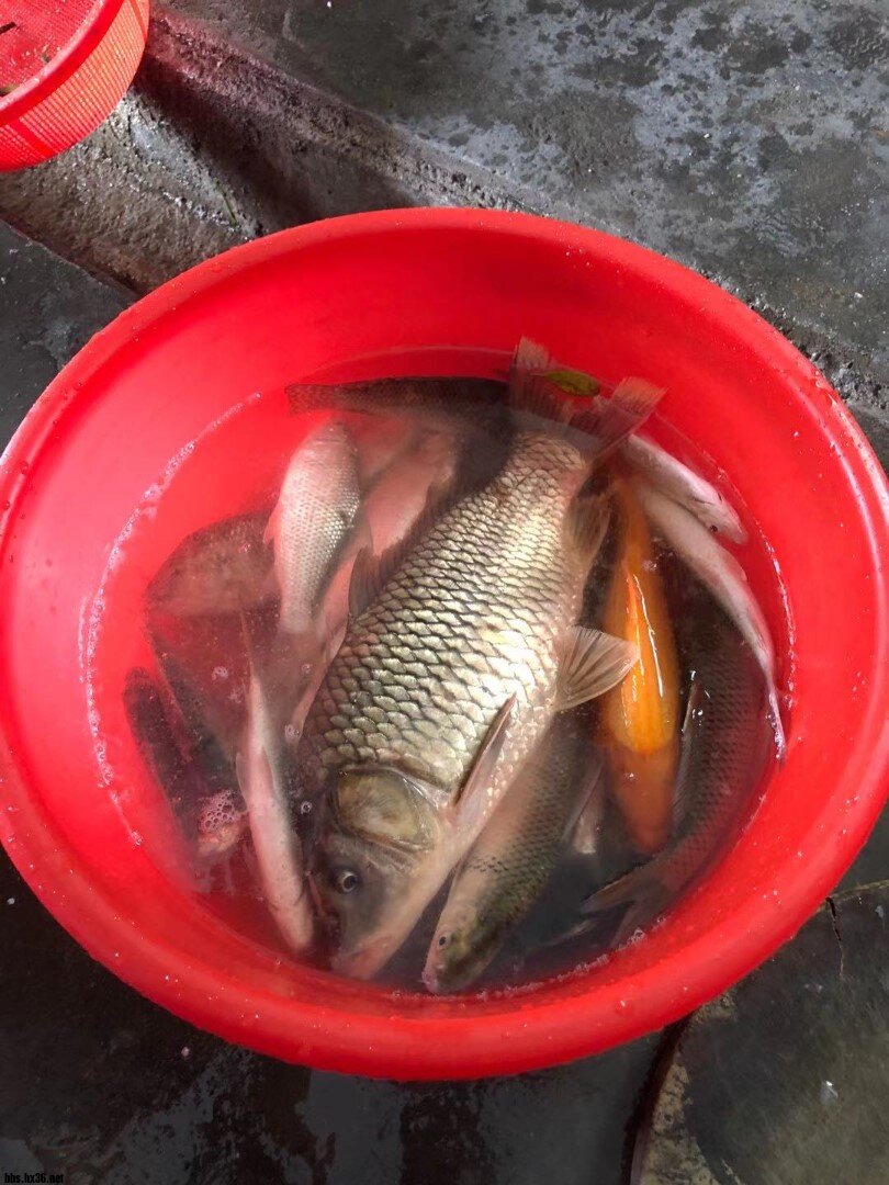 WeChat Image_20210111092355.jpg