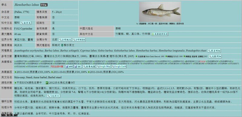 无标题.jpg