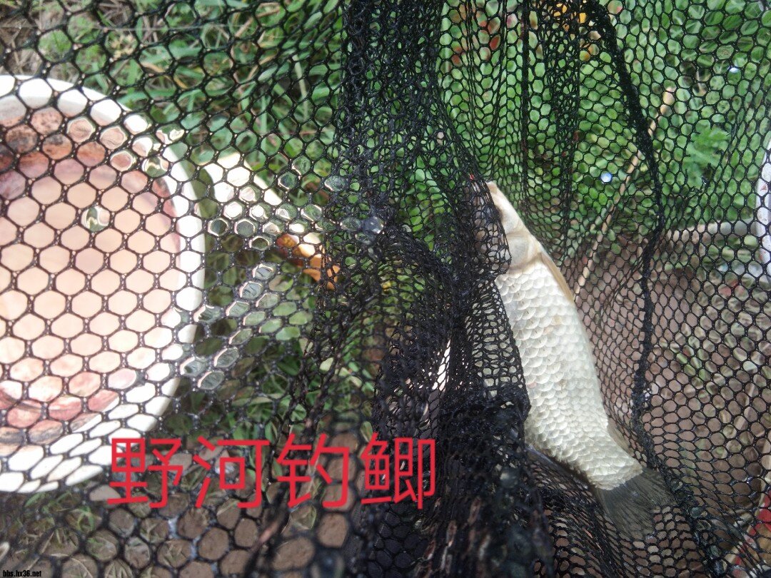 IMG_20200214_173511.JPG