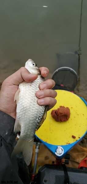 wx_camera_1611285649612.jpg