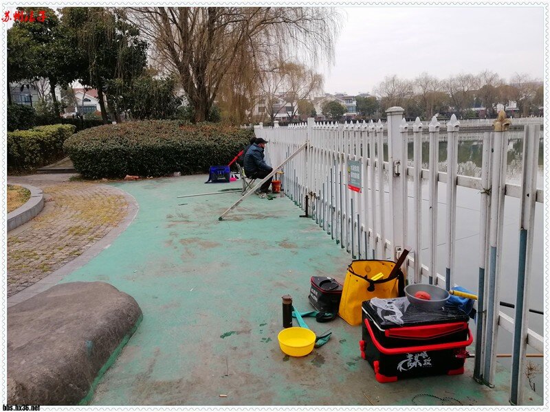 IMG_20210131_120739.jpg