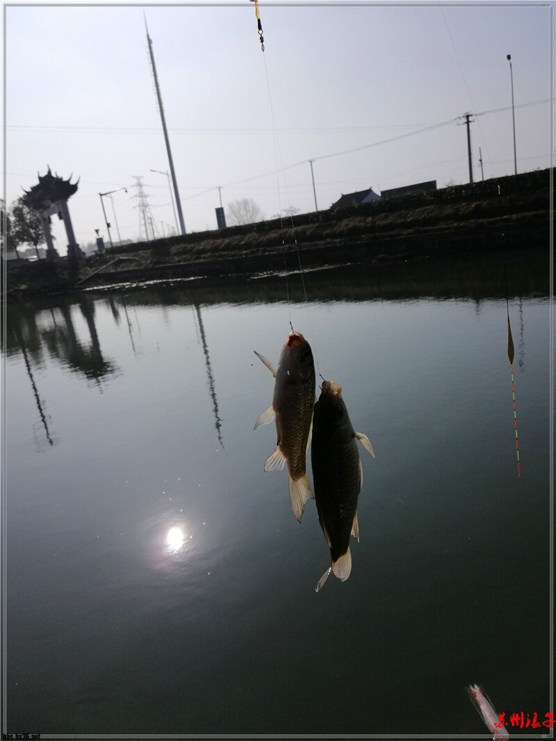 IMG_20210206_092255.jpg