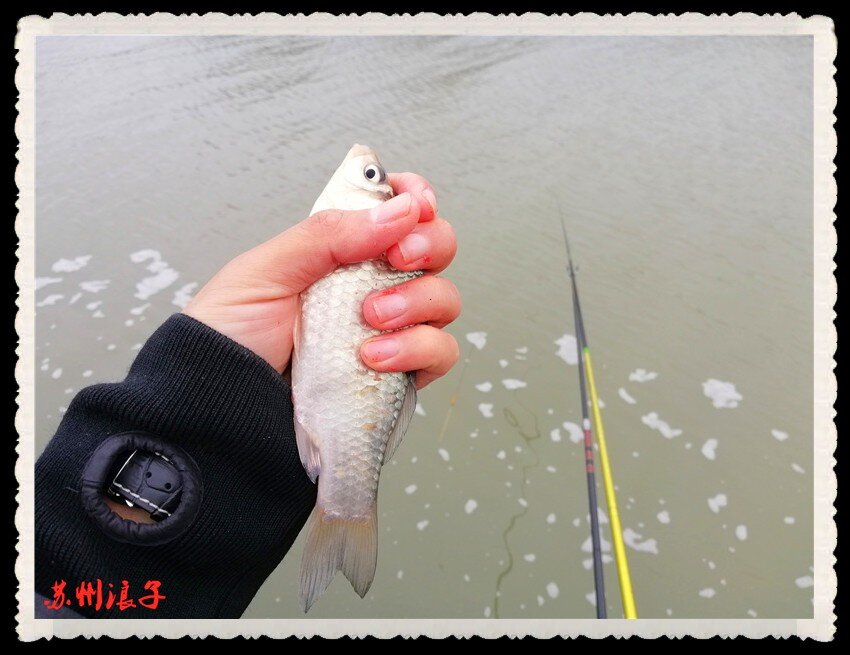 IMG_20210228_083346.jpg