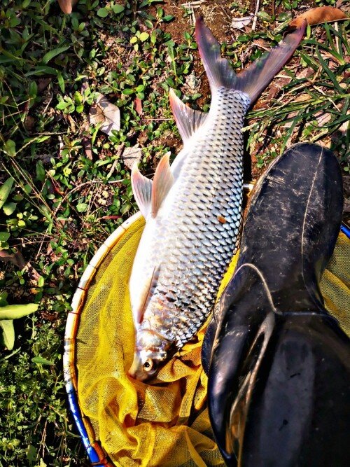 PicsArt_03-05-11.11.31.jpg