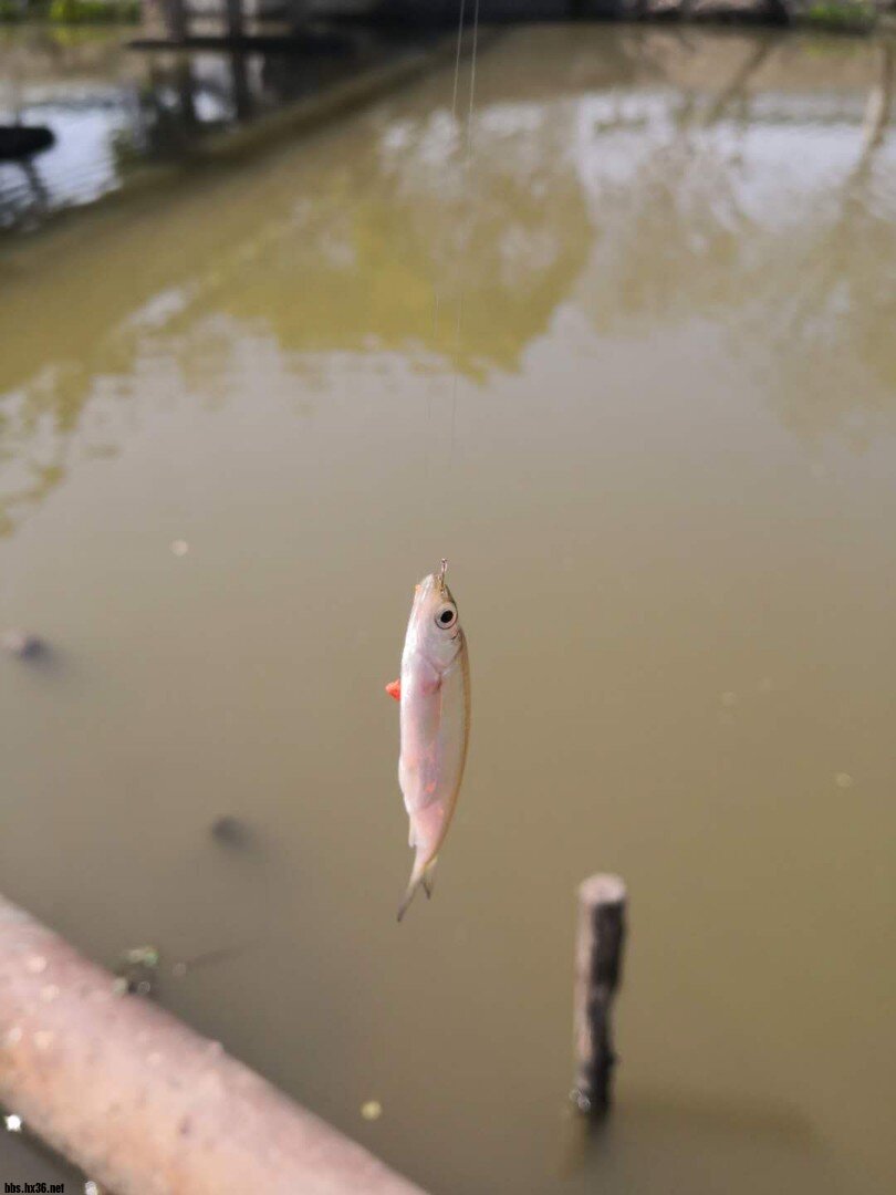 12灏洪粍鐮