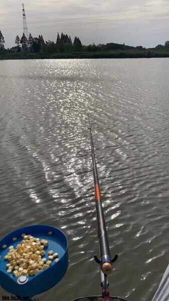31007BB9-DDCE-488A-B802-BFCB314C991B.jpeg