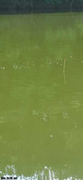 wx_camera_1624955569216.jpg