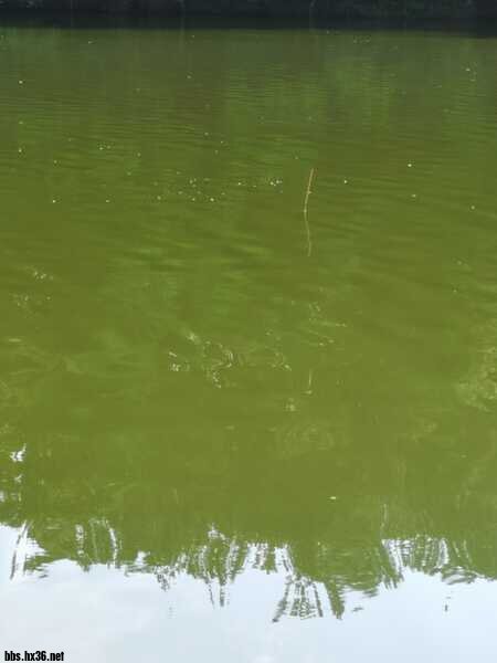 IMG_20210629_162836.jpg