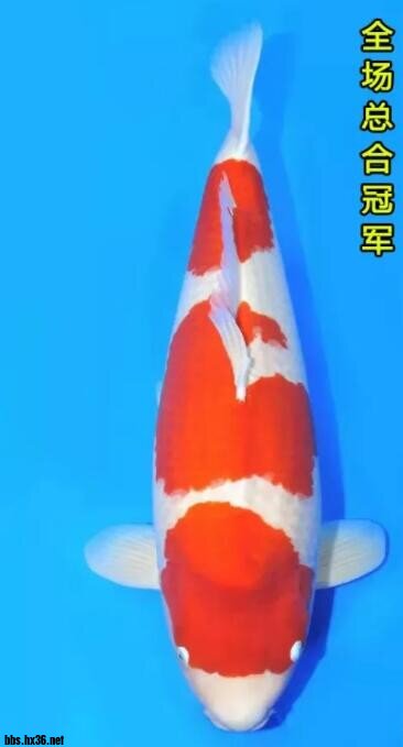 QQ鎴?浘20211220085808.jpg