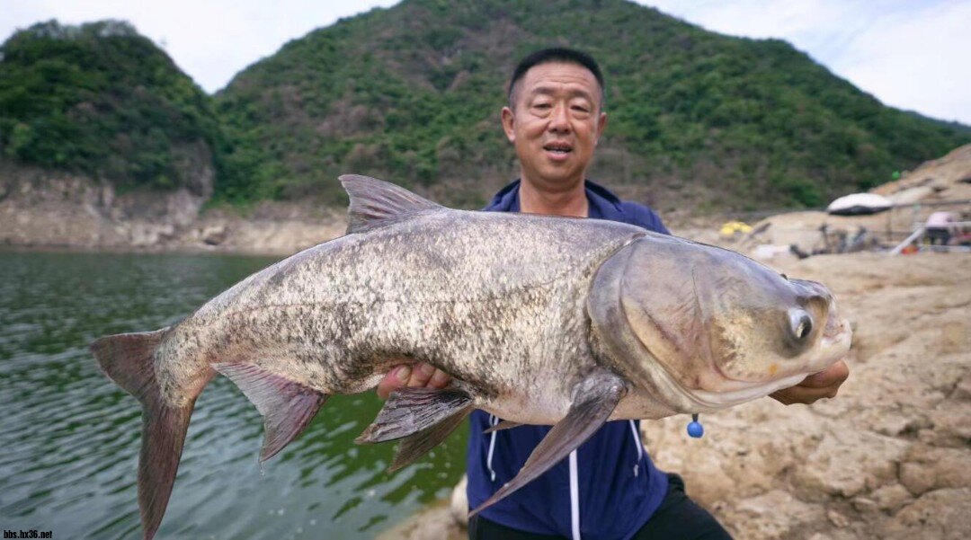 QQ鎴?浘20220621153535.jpg