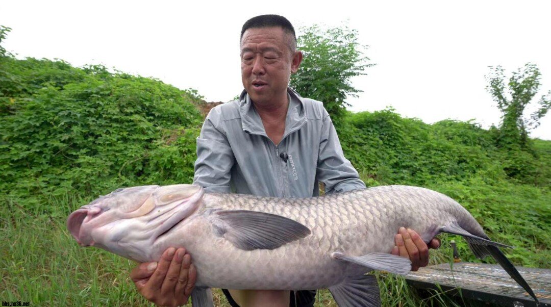 QQ鎴?浘20220621153518.jpg