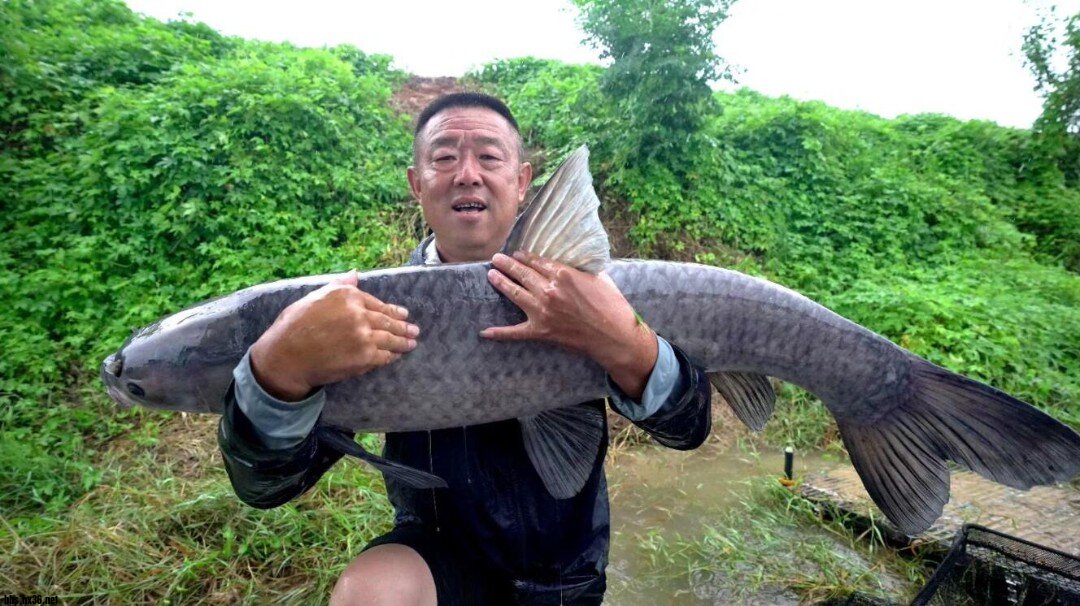 QQ鎴?浘20220621153526.jpg