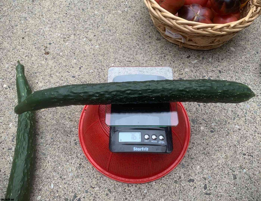 45.JPG