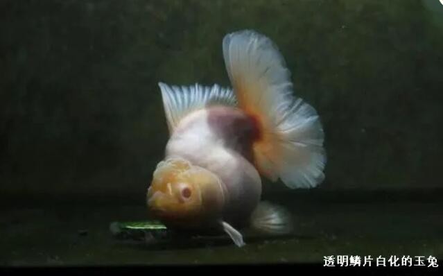 QQ鎴?浘20230116103925.jpg