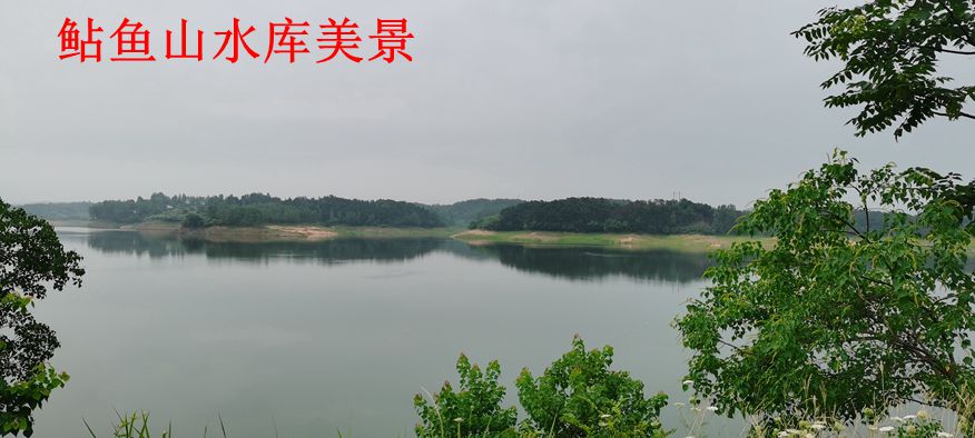 IMG_20230624_060415.jpg