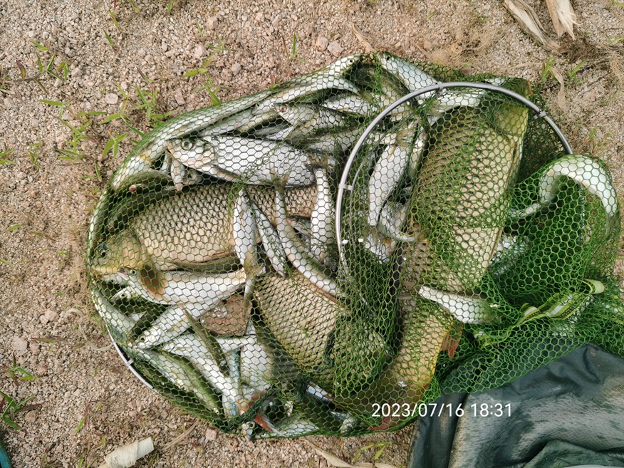IMG_20230716_183112.jpg
