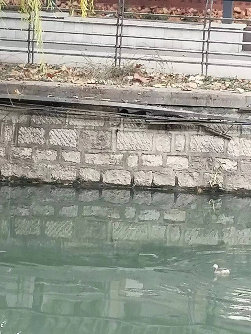 寰?俊鍥剧墖_20231206173543.jpg