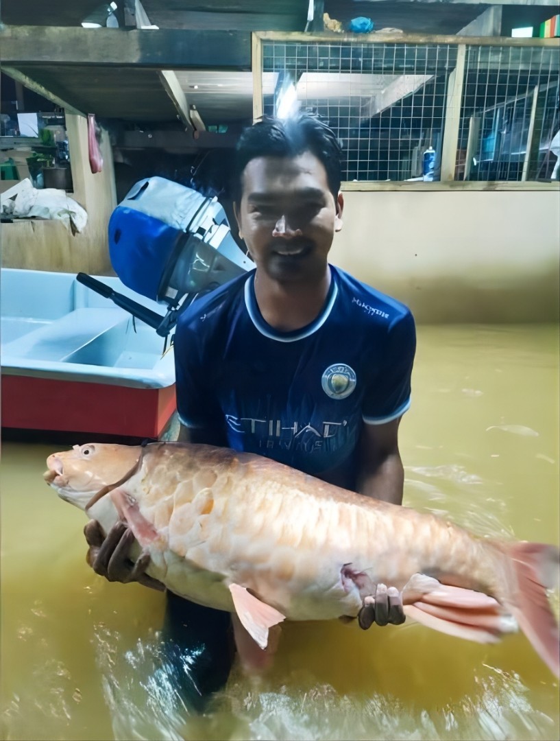 20231226pfb22a_Expensive_Fish.jpg