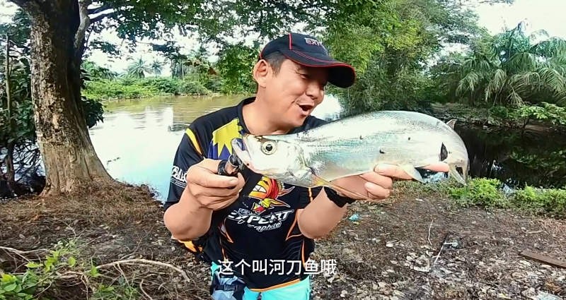 寰?俊鎴?浘_20240107103347.jpg