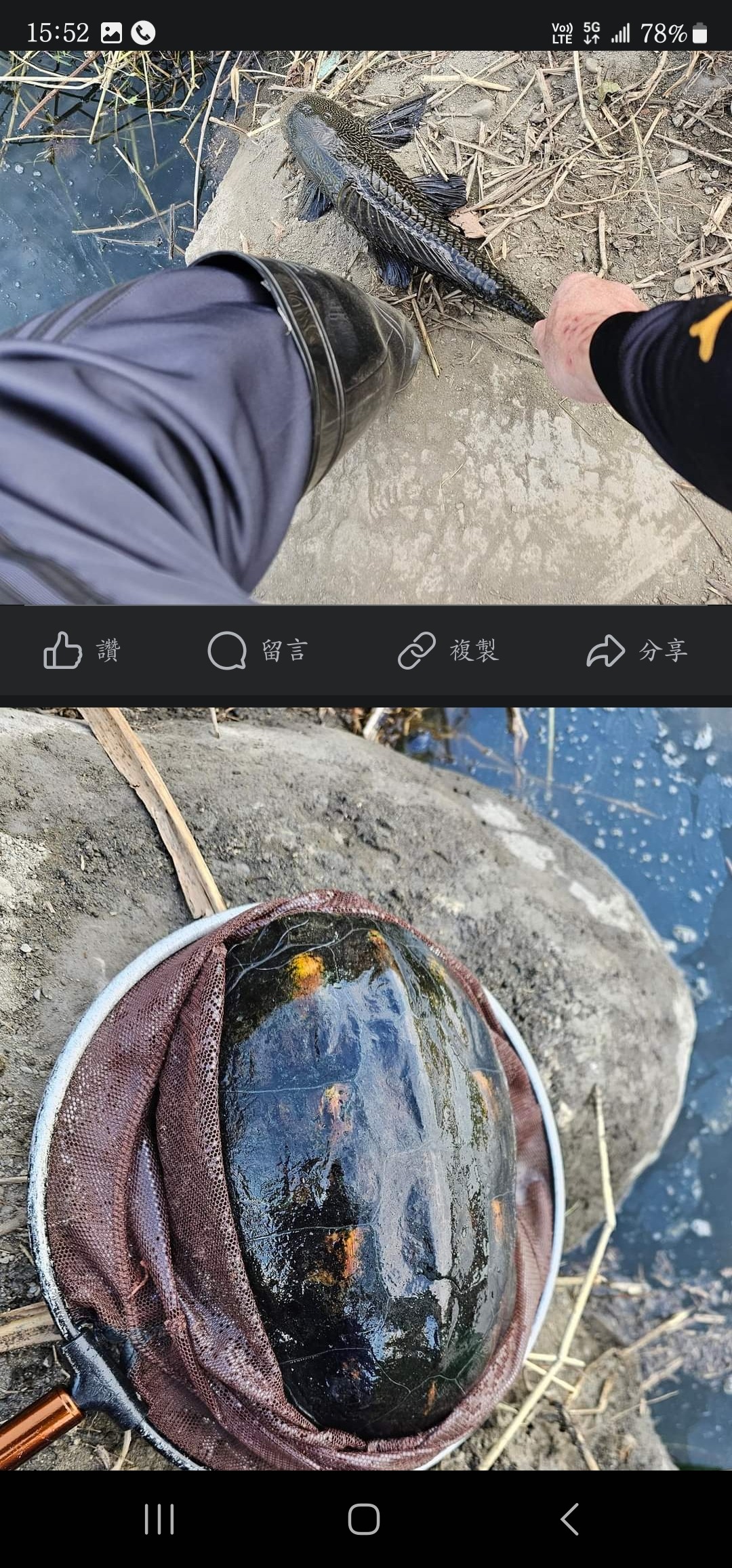 Screenshot_20240108_155253_Facebook.jpg
