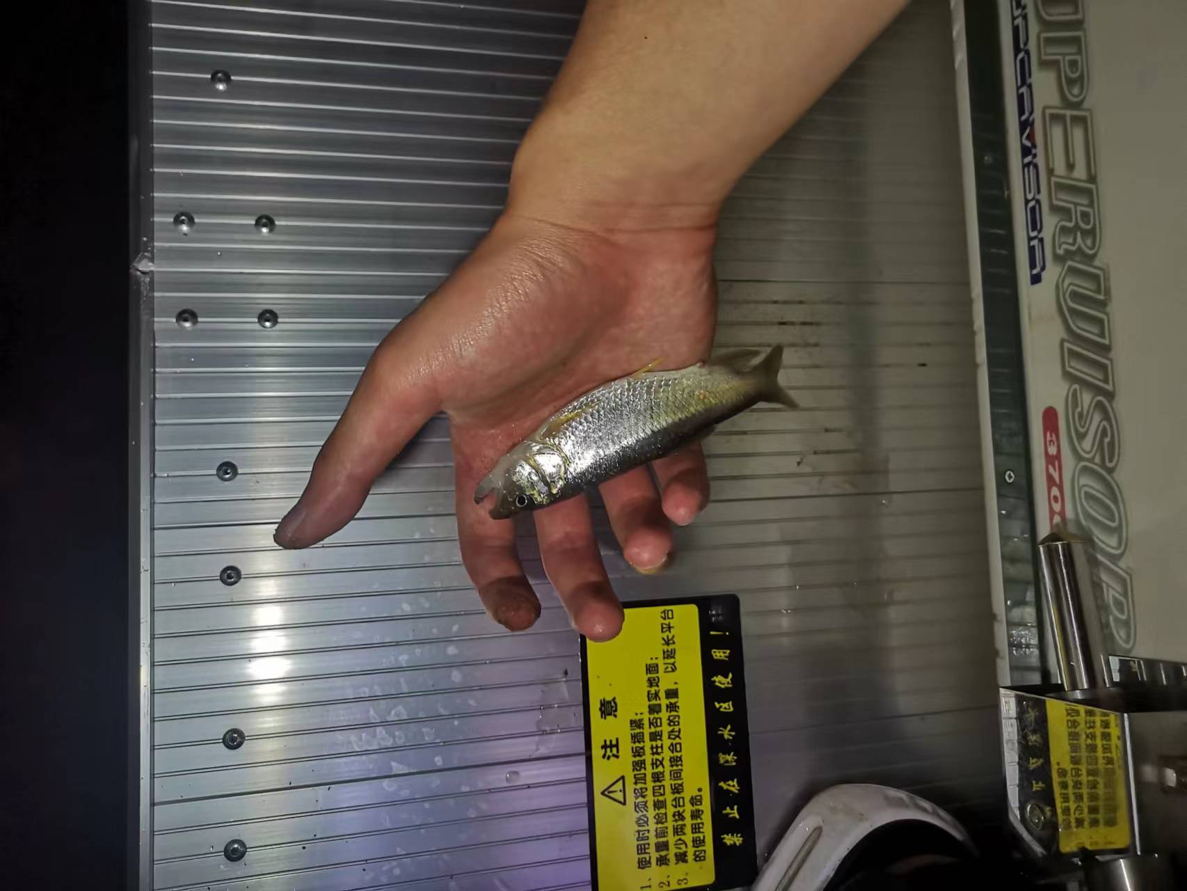 mmexport1707714421707.jpg