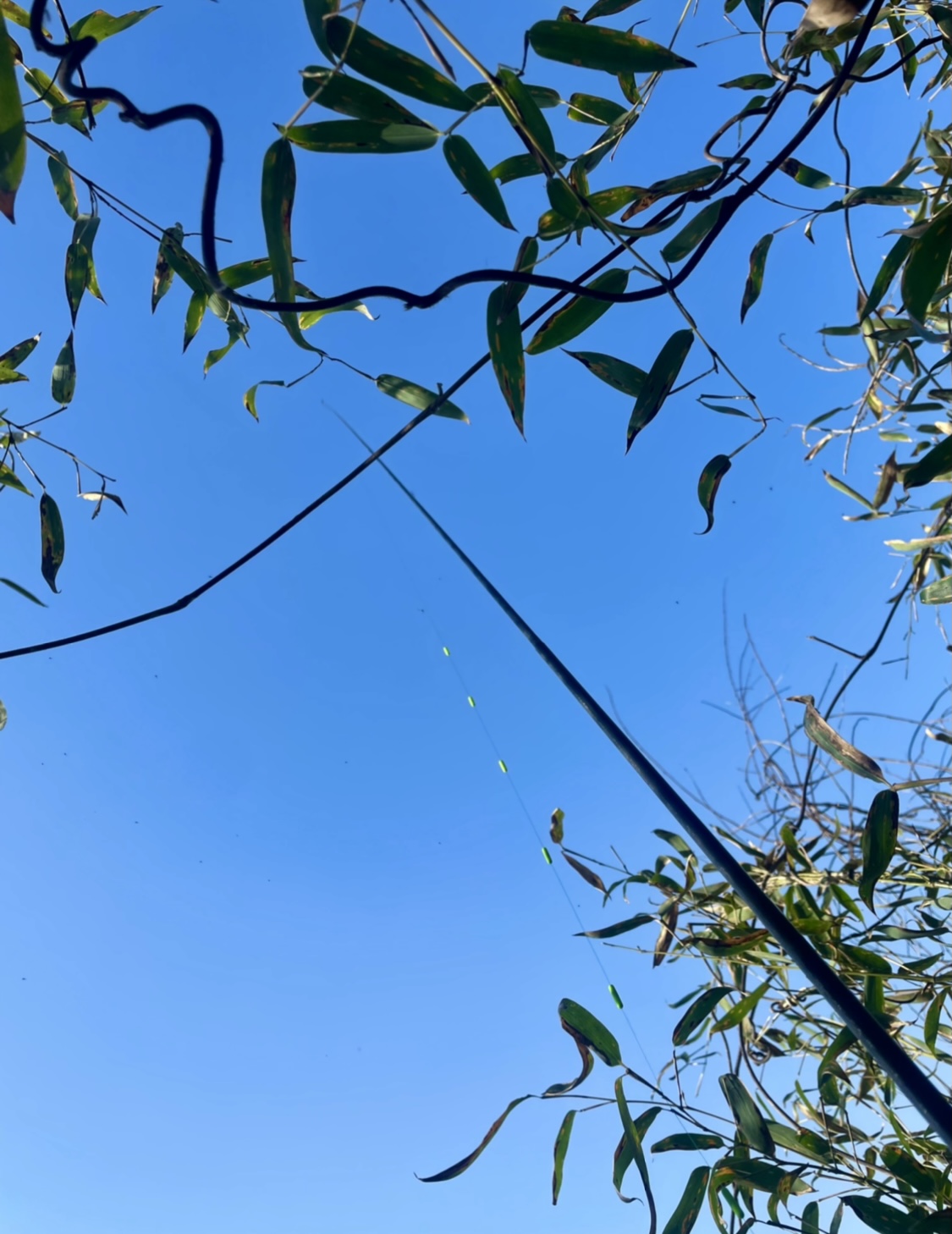 8FFE05D0-E8AA-4193-BEE4-AD7D481ADA0E.jpeg
