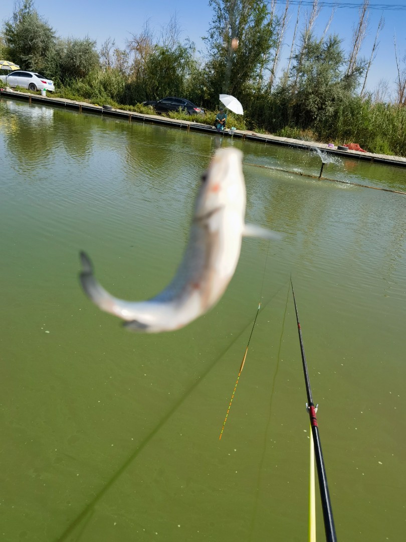 IMG_20230815_163714.jpg