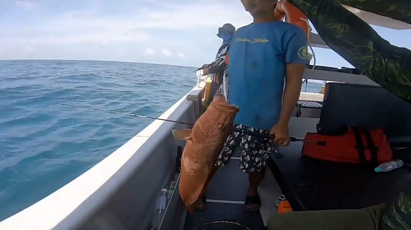 寰?俊鎴?浘_20240522050218.jpg