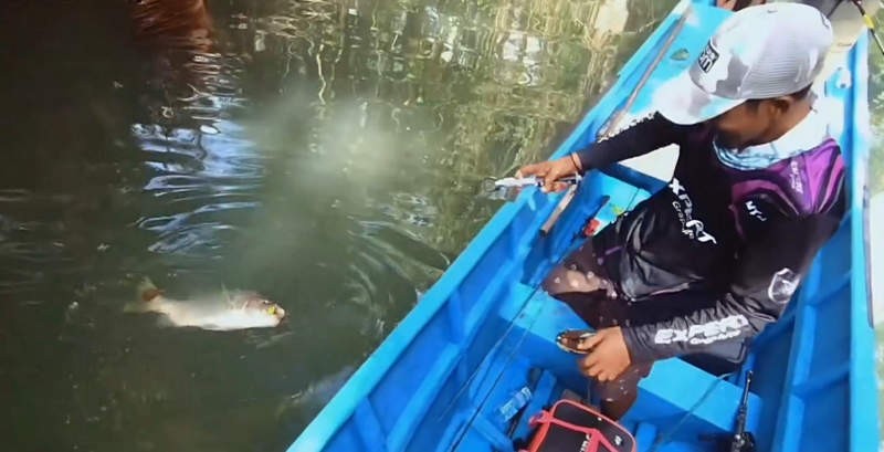 寰?俊鎴?浘_20240601042749.jpg