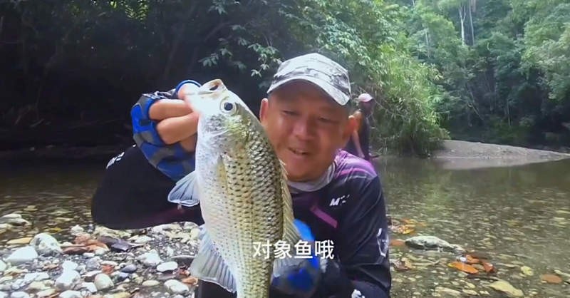 寰?俊鎴?浘_20240601042139.jpg
