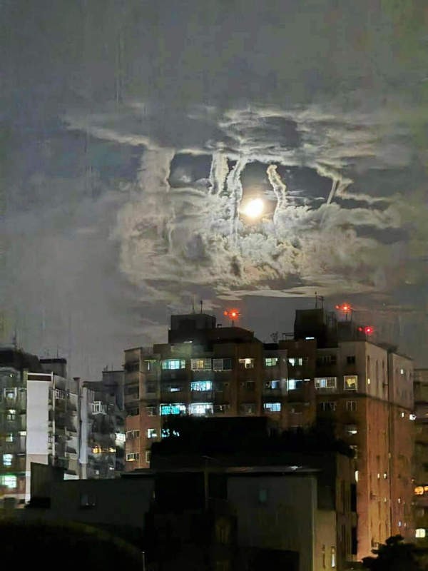 寰?俊鍥剧墖_20240817163316.jpg