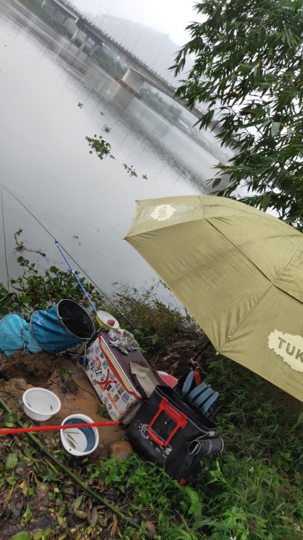 IMG20211120161528[1].jpg