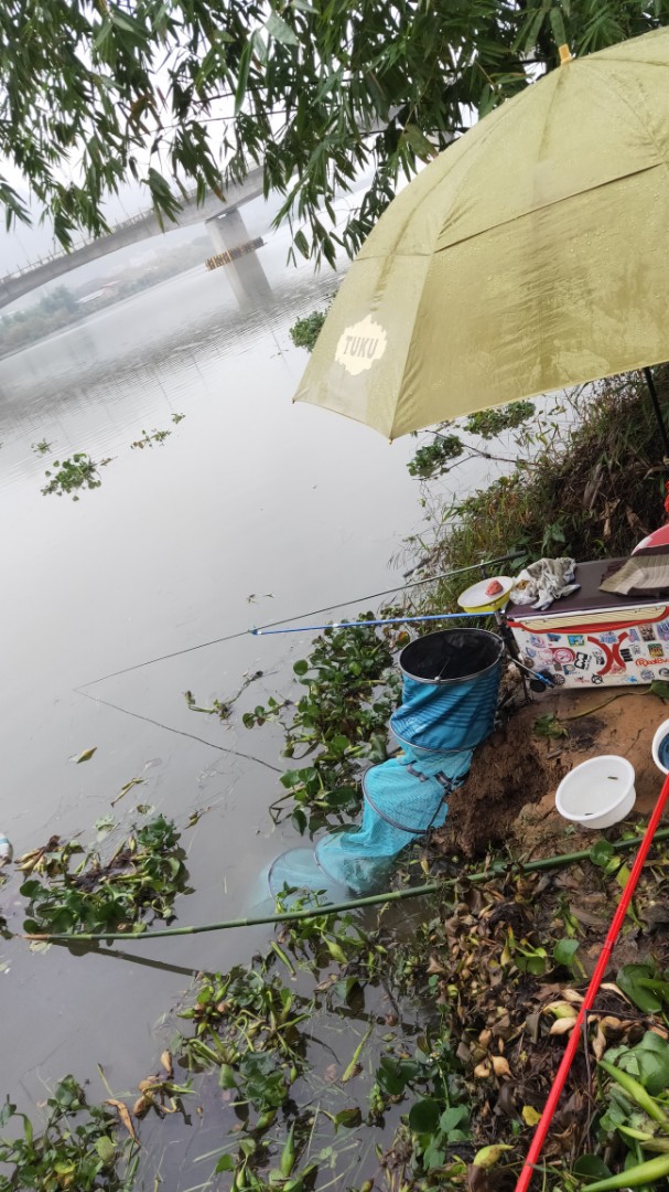 IMG20211120161532[1].jpg