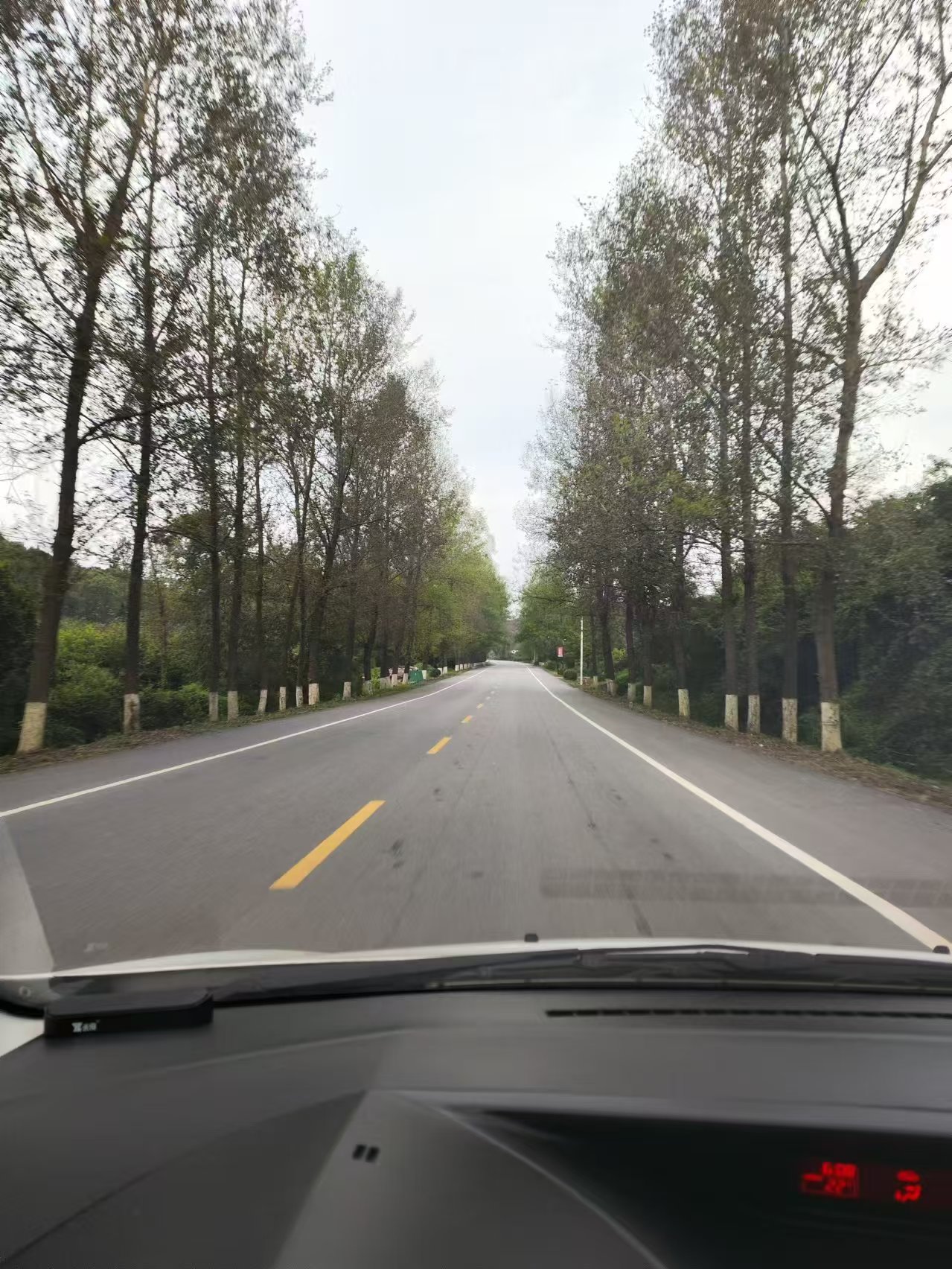 路上风景.jpg