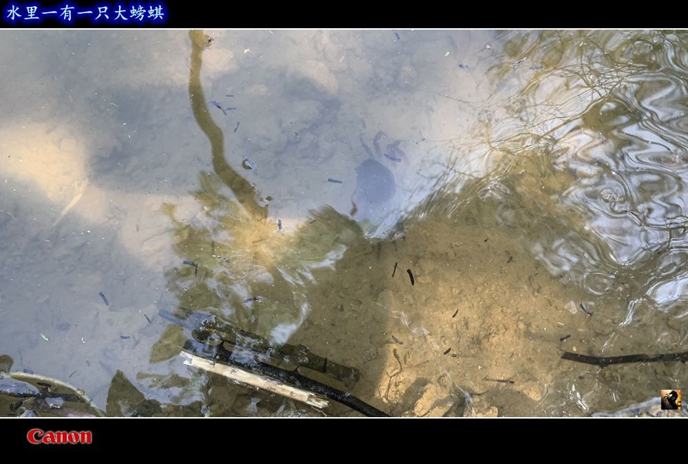 锛戯紥.jpg