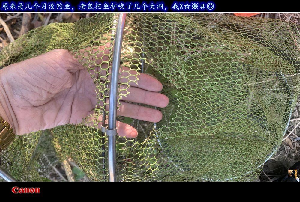 锛戯紩.jpg