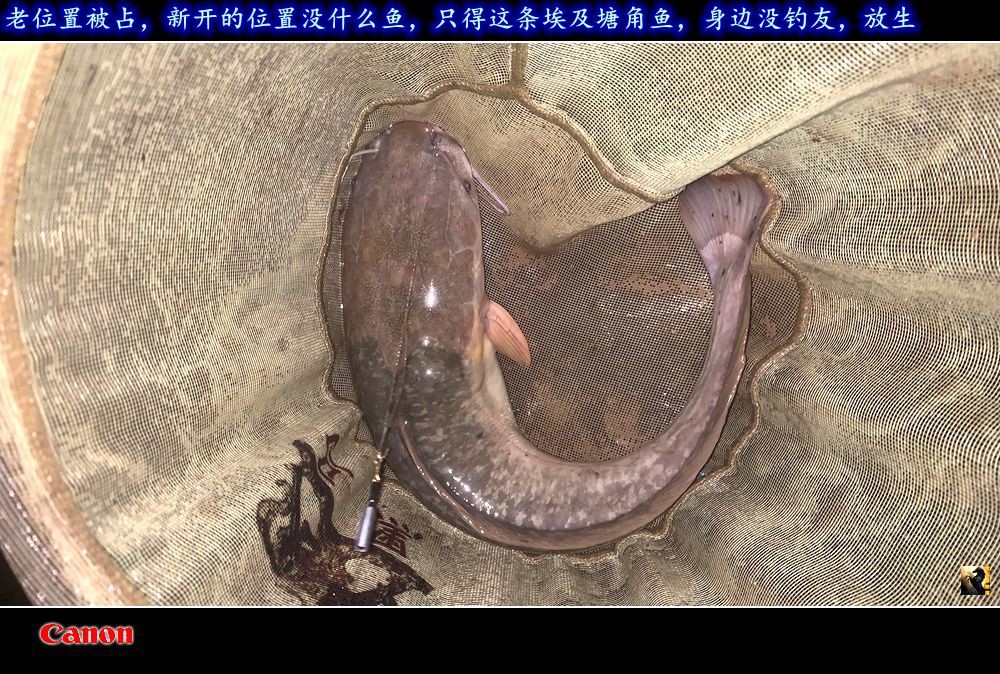锛戯紤.jpg