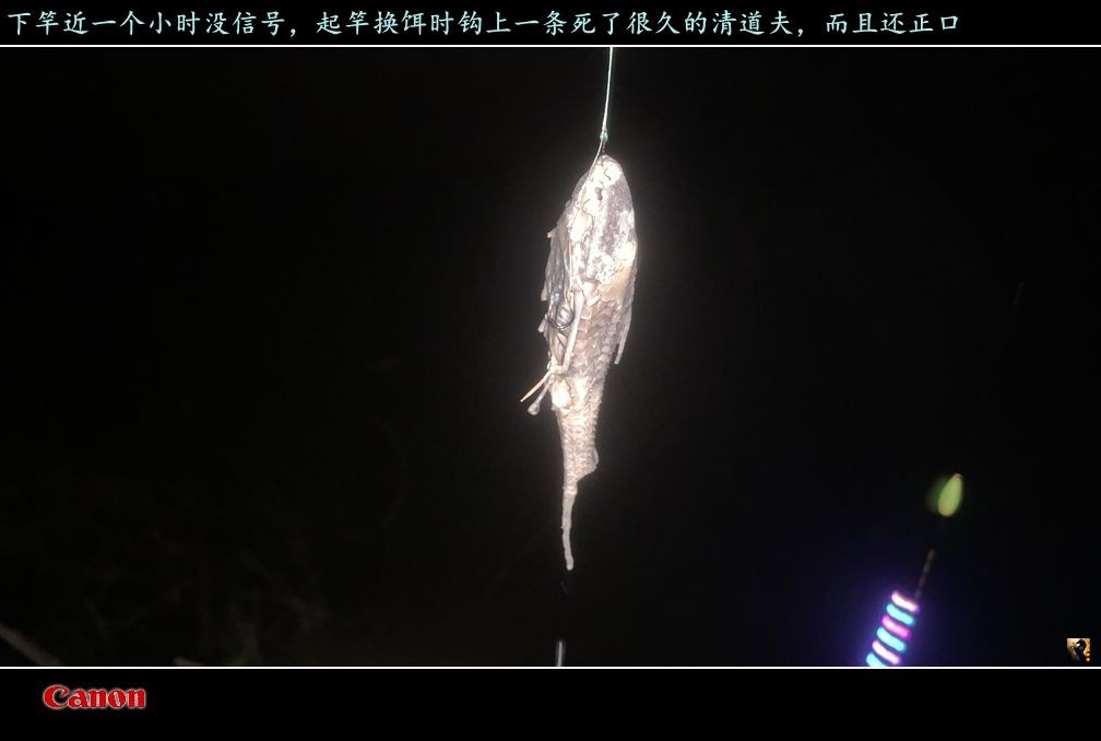锛戯紨.jpg