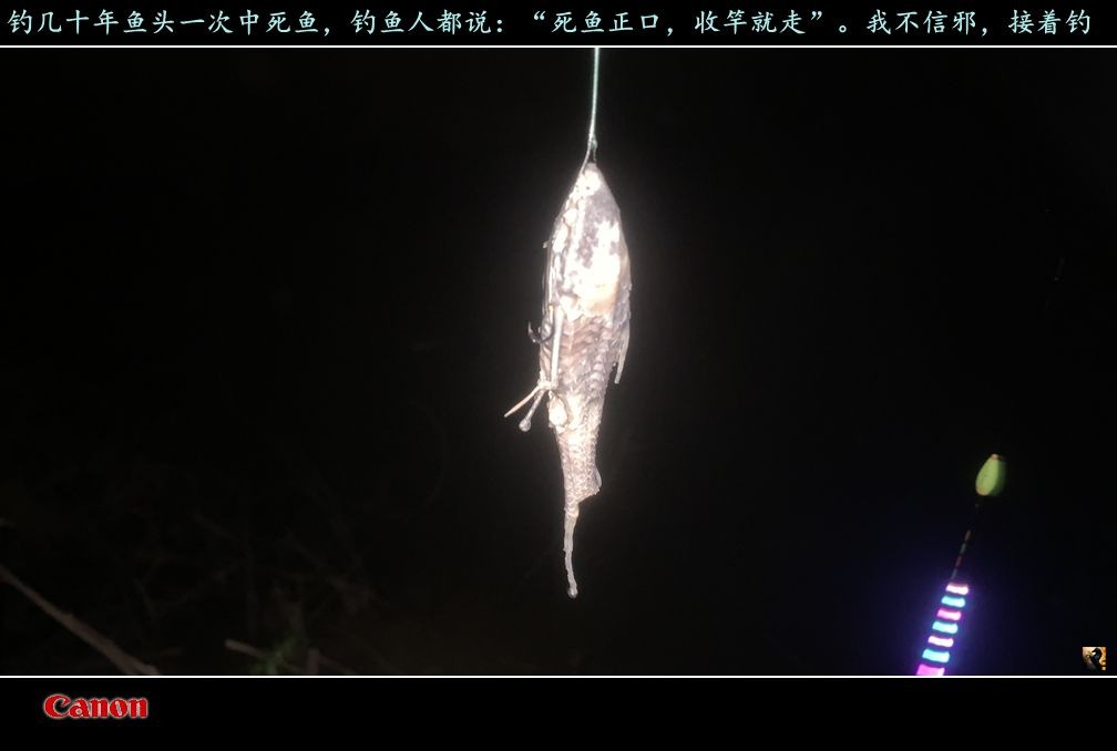 锛戯紩.jpg