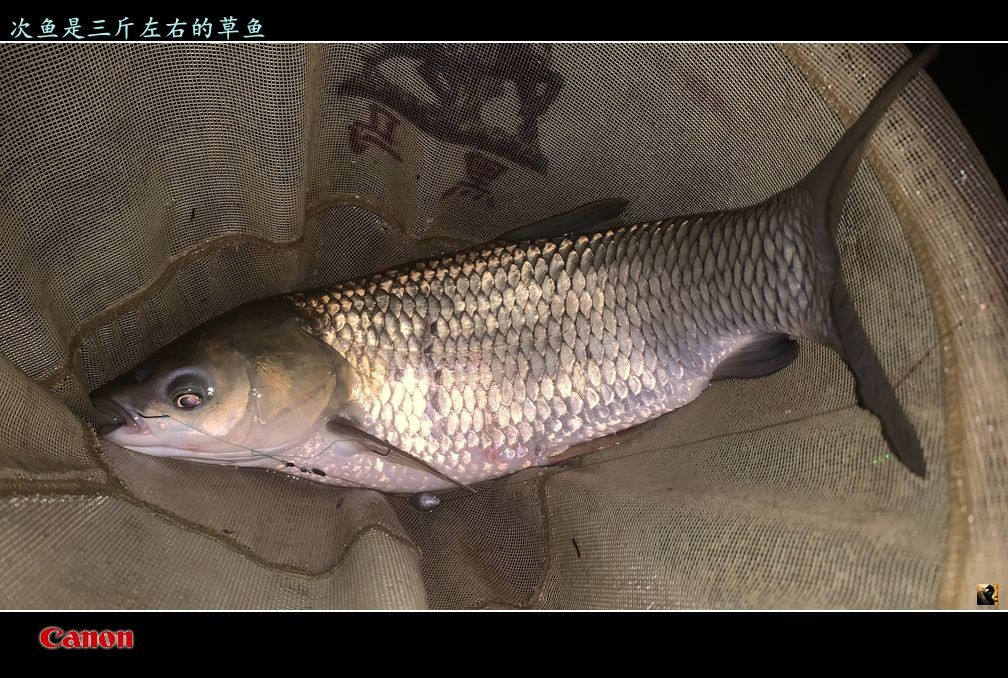 锛戯紦.jpg