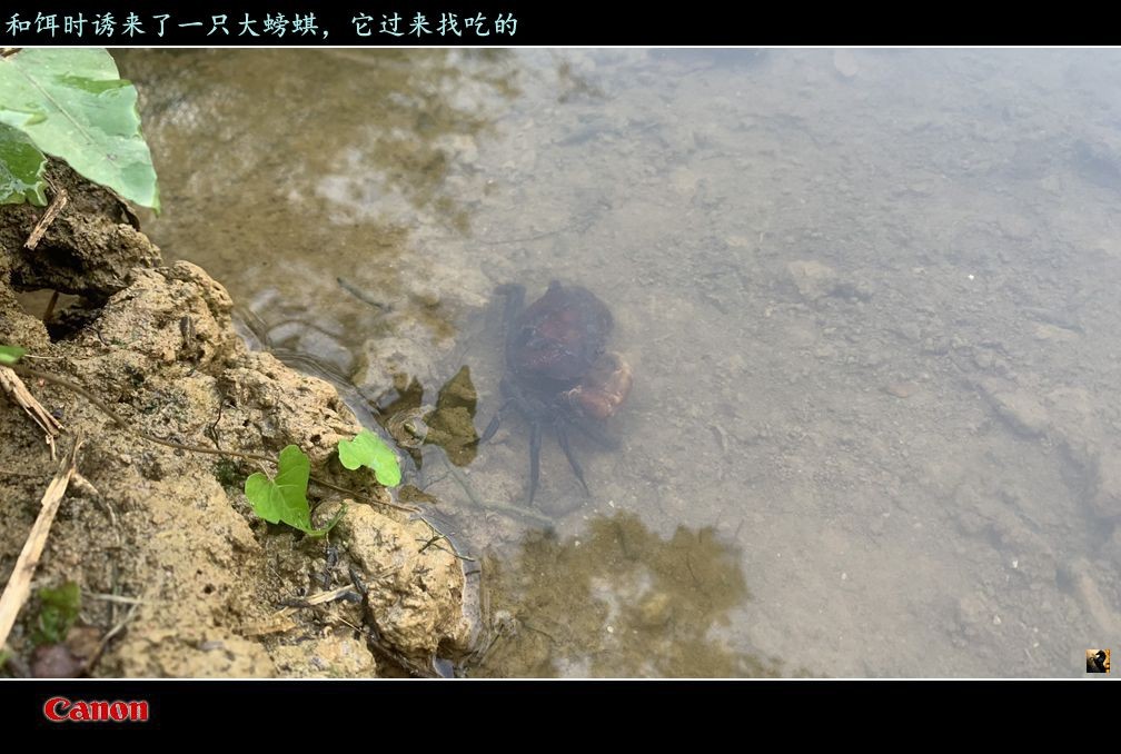 锛戯紤.jpg