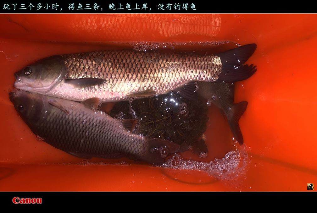 锛戯紩.jpg
