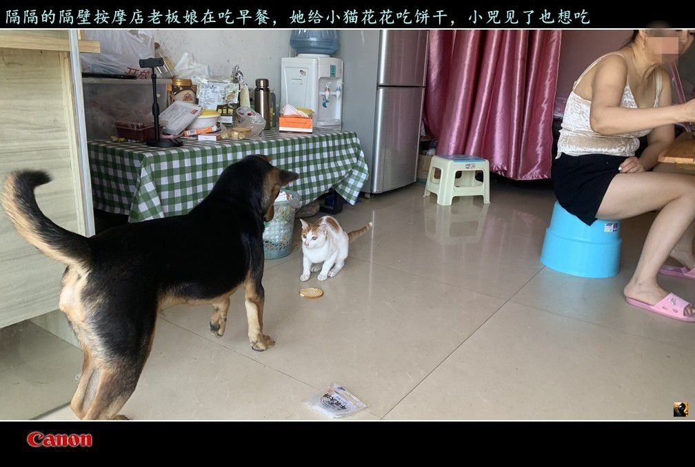 锛