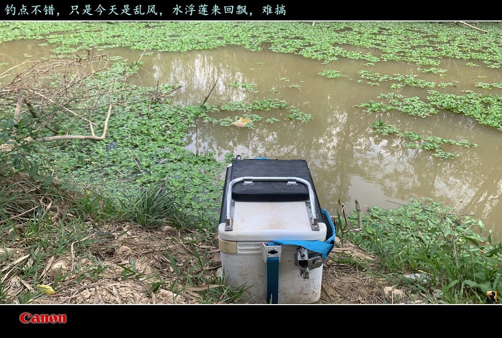 锛