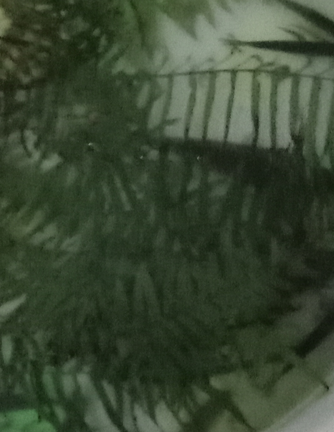 Screenshot_2025_0314_220439.png