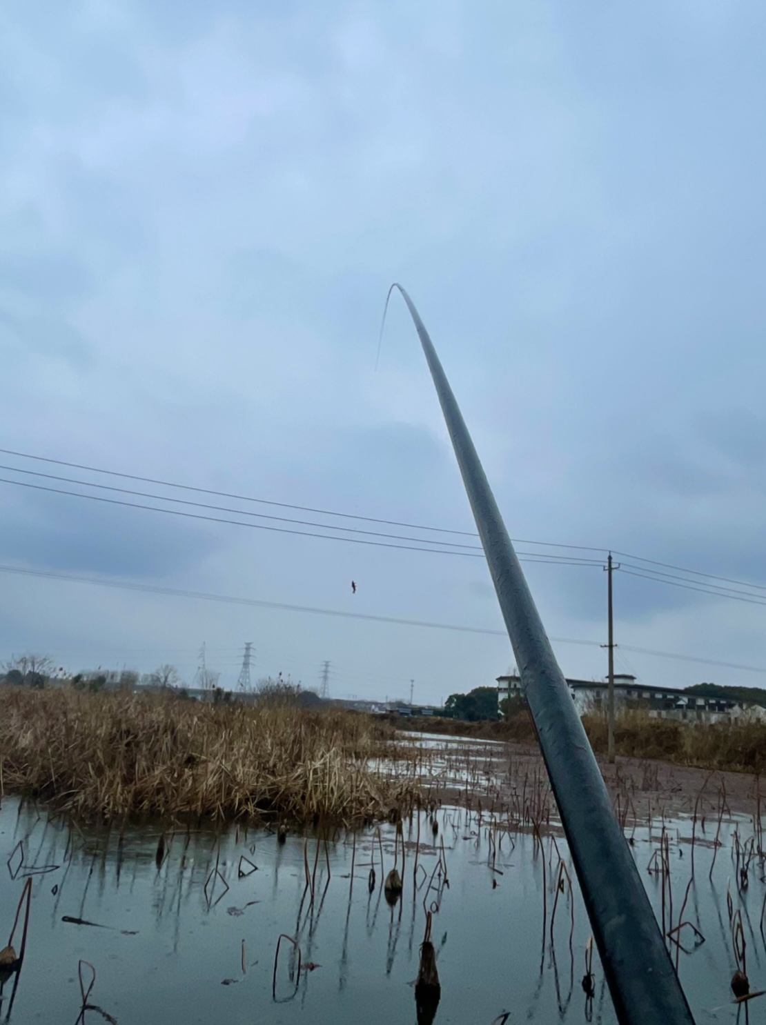 AB393AFA-1FF5-4AFF-A1D5-D77775FB763A.jpeg
