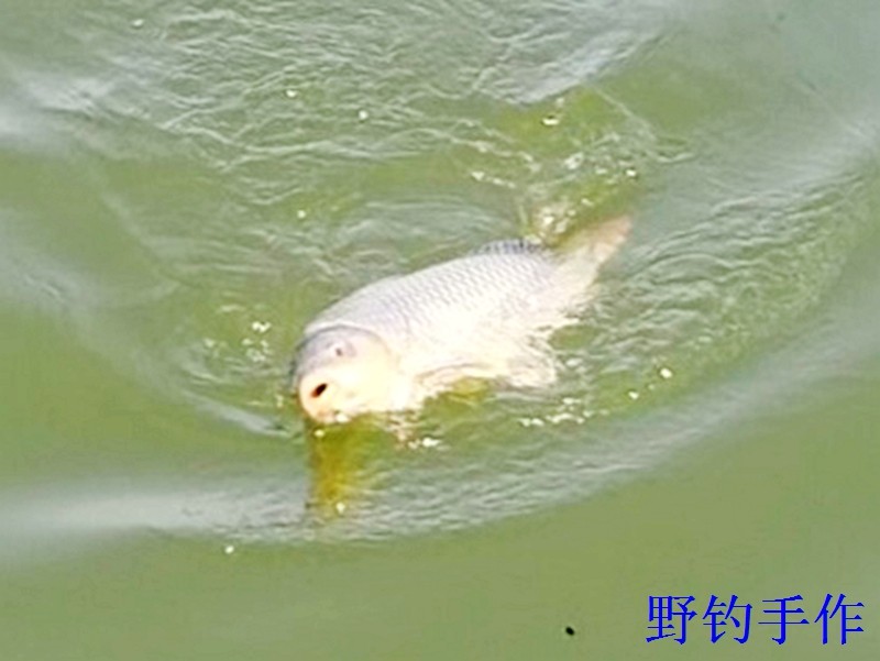 IMG_20260311_134218.jpg