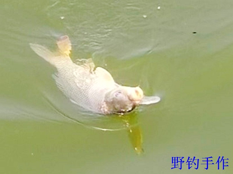 IMG_20260311_134221.jpg