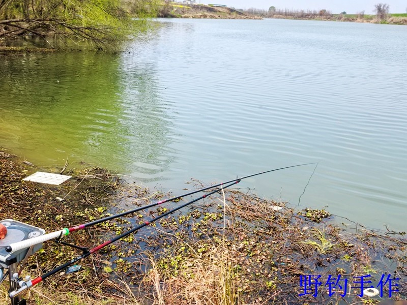IMG_20260311_125230.jpg